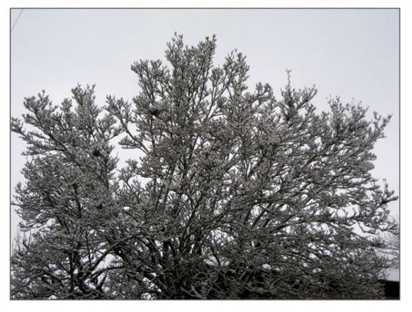 Pluie et neige à Châtillon sur Seine, de très belles photos de Dominique Masson