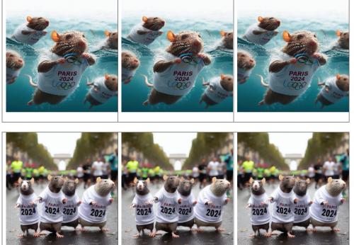 Images prod écrit n°2 : Les souris (nage et course)