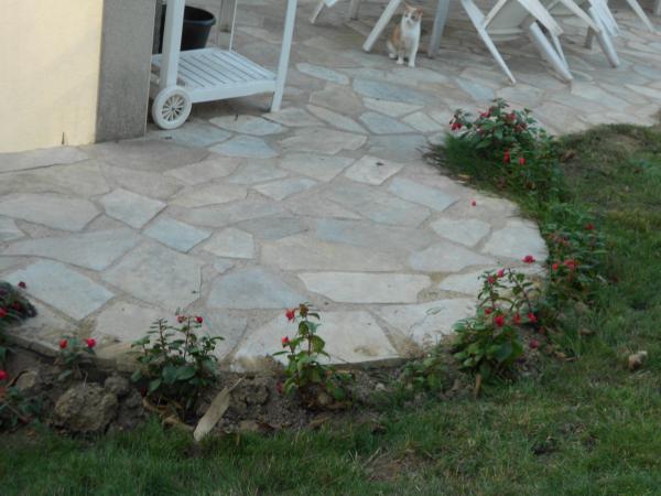 Un petit tour de jardin ... !!!