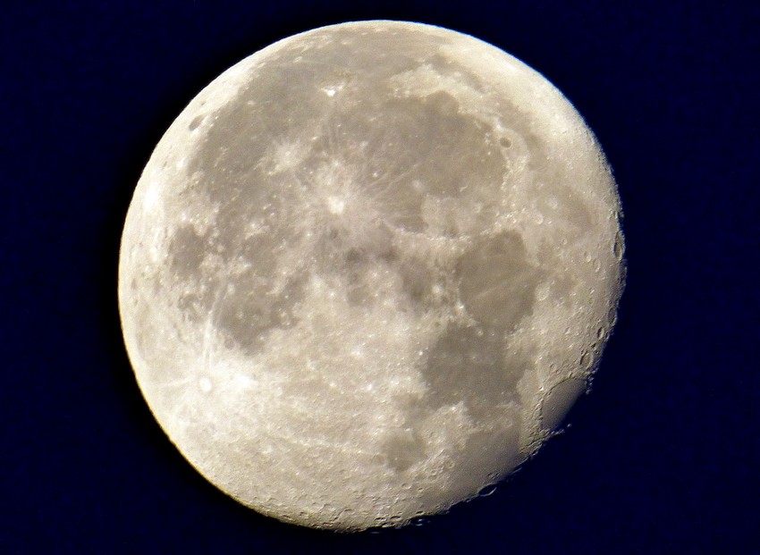 Quelques insolites ...