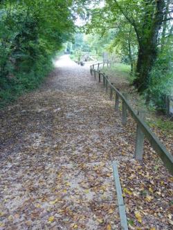 Lundi en une, deux, trois, quatre, ( ou plus)  photos 