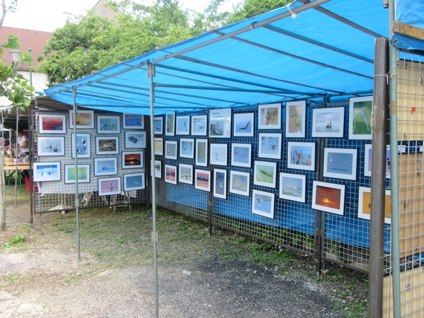 Le salon "Arts et Artisanats" de Brion  sur Ource s'est déroulée  le 16 juin sous un beau soleil, et les visiteurs ont été nombreux !