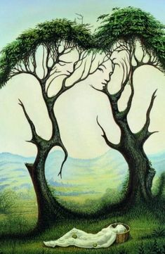 ⊱♥⊱╮ღ꧁ Illusions D'optiques  ꧂ღ ⊱♥≺