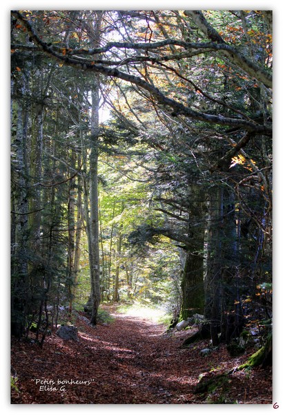 L'Automne au grand Colombier