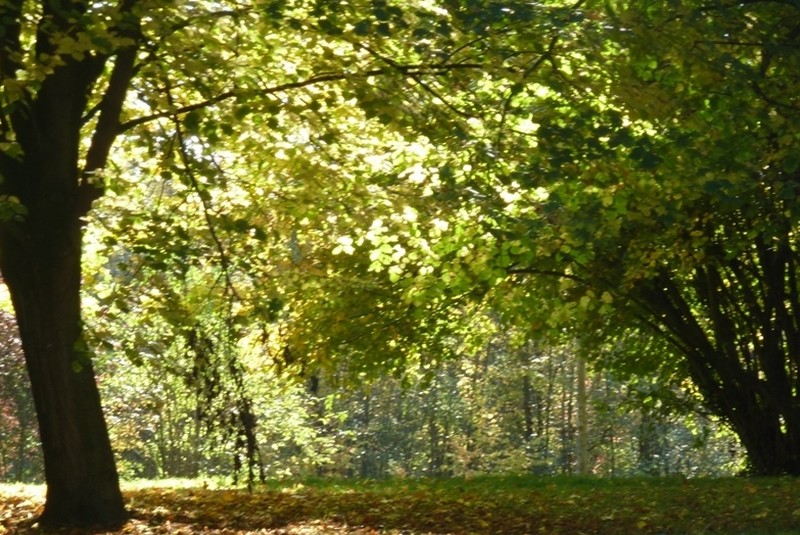 conte d'automne ...