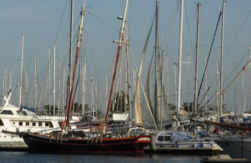 PORT NAPOLEON, un port pas comme les autres !