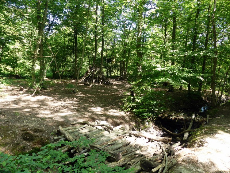 Terrain de jeux en forêt