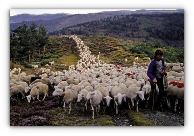 Image source, site : Parc National des Cévennes