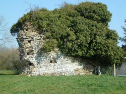 LES REMPARTS DU PLESSIS-GRIMOULT (Calvados)