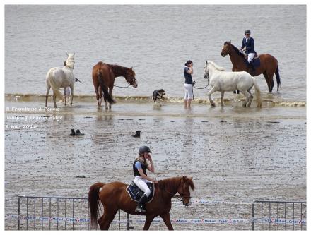 Jumping Tharon Plage 2016