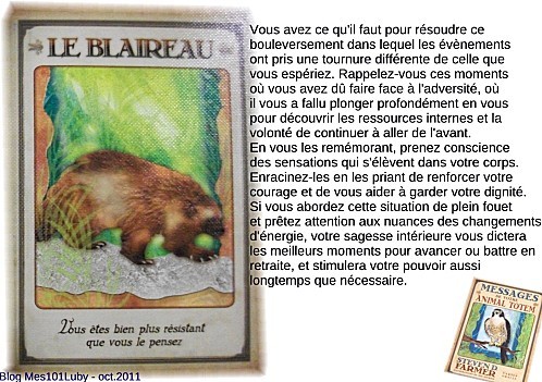 2011 18 10 carte totem ticoeur