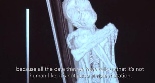 ALIEN PROJECT - Les momies du Pérou/5