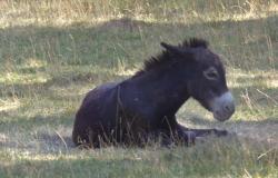 Lundi, en une, deux, trois, quatre ou plus en photos .... 