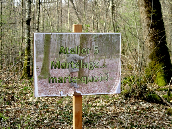 "Vis ma vie de forestier"