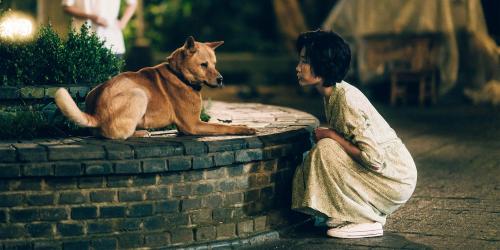 • Best Asian Movies That Will Make You Cry
