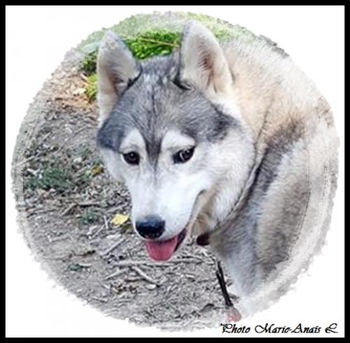 Lucky (5 ans)