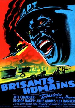 BRISANTS HUMAINS BOX OFFICE FRANCE 1956