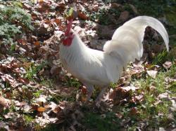  * Au Domaine de Bourgogne