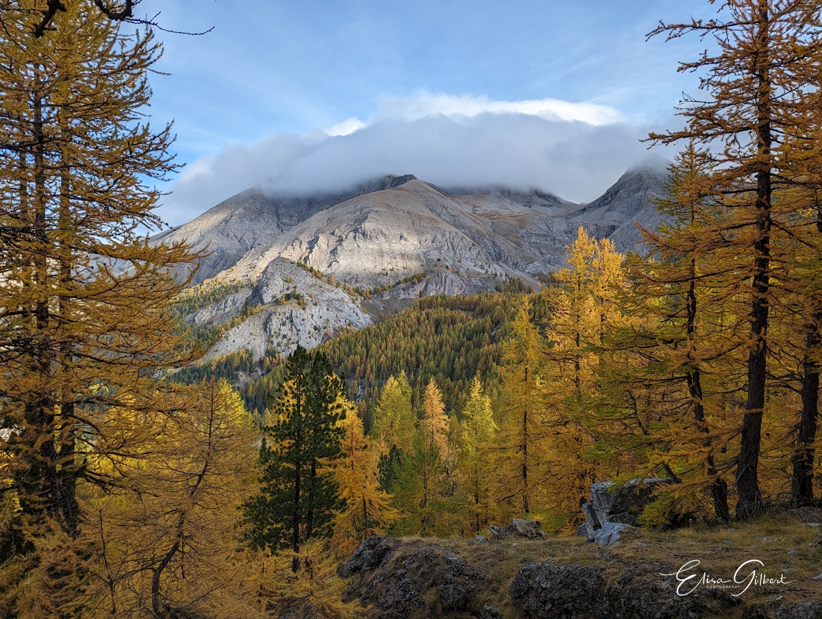 Féerie d'Automne