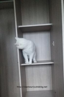 Il faut inaugurer et tester