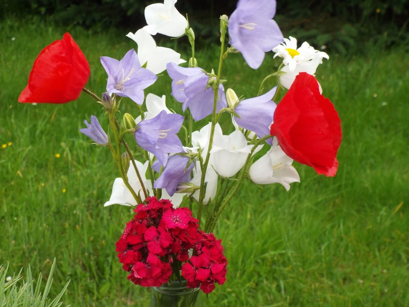 indispensable "bouquet garni" ...