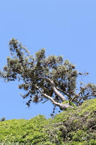 Retour de l'Aber (2)