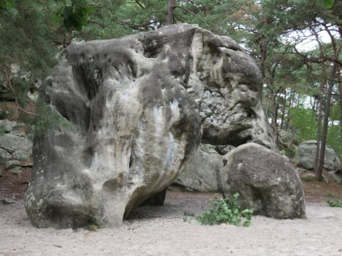 Rando en forêt de Fontainebleau