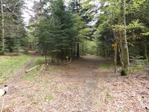 Trèvezel (L'Espérou - Aigoual)