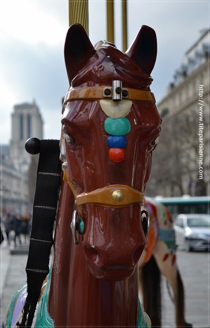 Les chevaux de l'Hôtel de Ville 4