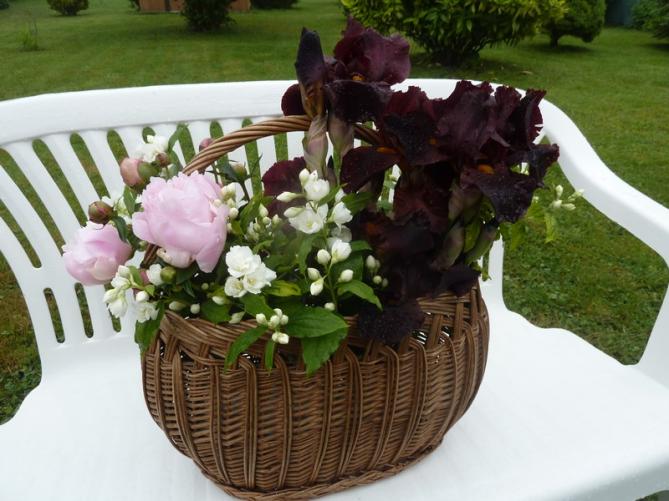 féérie florale du printemps ...