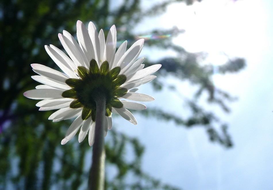 Entre deux coups de fil ...