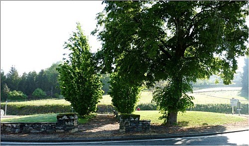 rond-point.jpg