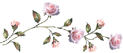 Teddy Bear Mum - 11