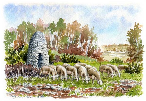 Aquarelles d'Alain Marc