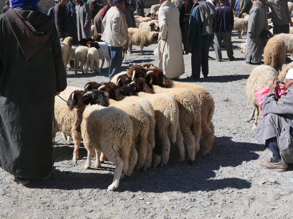 Zaouiat Ahansal - Imilchil