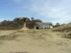  * La Dune Marchand et la Dune du Perroquet à Bray-Dunes