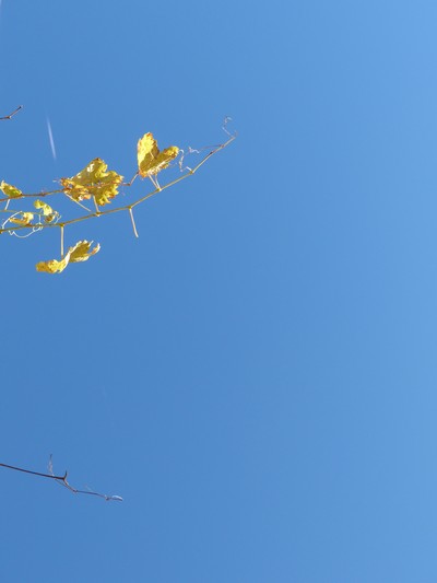 la mesure, le suppliant