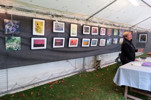 Une exposition de photographies aux Villas du Parc à Vanvey