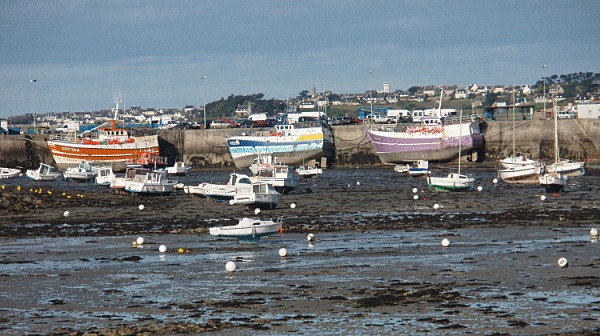 port-de-roscoff.gif