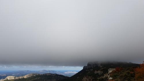 Roque Forcade - 2