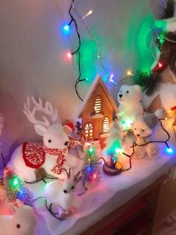 Le petit sapin rouge et vert