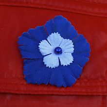 Bleuet_de_France_version_2012