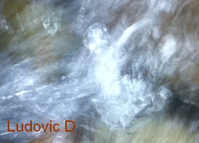 La page de Ludovic Demaret