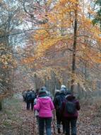 La randonnée du 4 décembre à Boulon