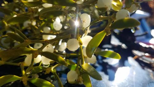 La ronde des crêtes