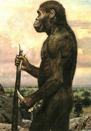 Sur les trace de l'Australopithèque