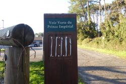 Anglet, la forêt du Lazaret