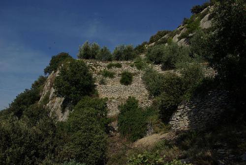 Les dentelles de Montmirail  (Vaucluse)