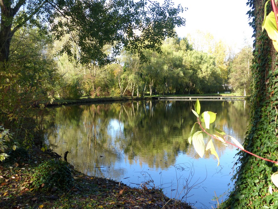 Le parc avant l'hiver