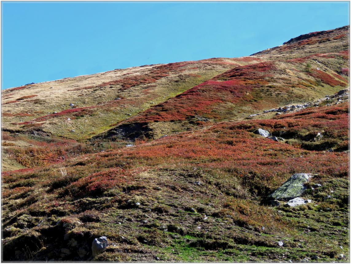 BALADE  D'AUTOMNE  2023